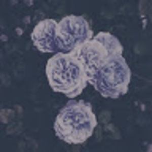 Meet your Posher, Claire